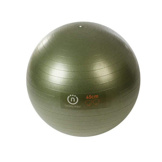 Pro Burst Resistant Exercise Ball 65cm
