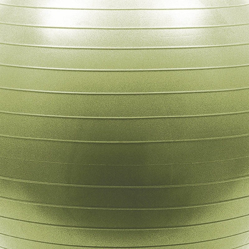 Pro Burst Resistant Exercise Ball 65cm